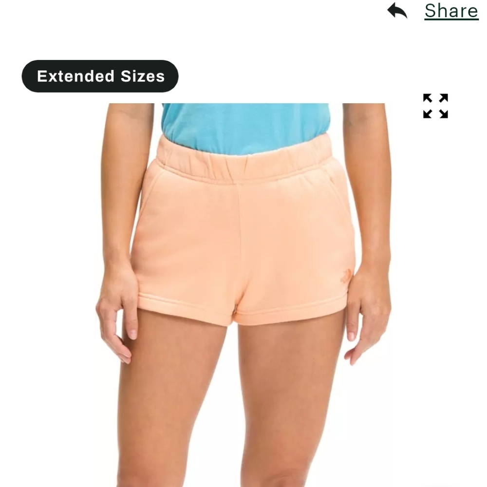 North face shorts